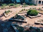 raised beds with Belgian block for herb garden